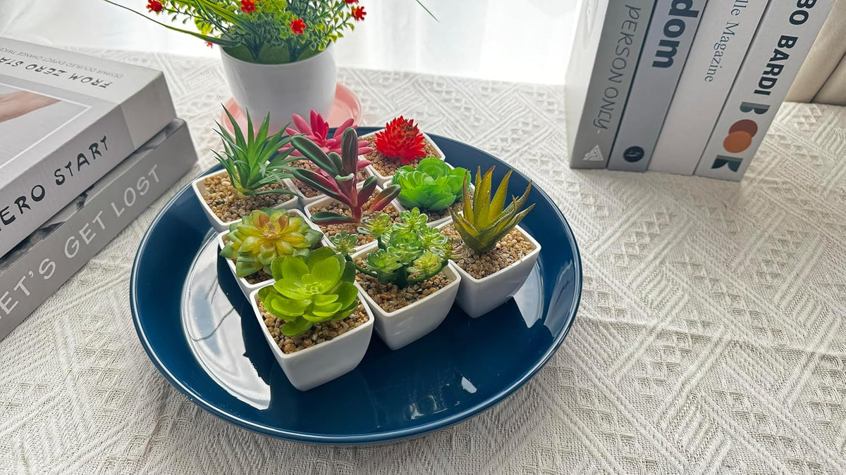 Plant Saucers 12 Inch (12.7 Inch) Plant Trays, Durable Round Glazed Ceramic Flower Plant Water Drip