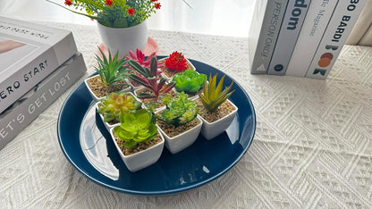 Plant Saucers 12 Inch (12.7 Inch) Plant Trays, Durable Round Glazed Ceramic Flower Plant Water Drip