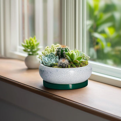 Succulent Pots - 6 Inch Ceramic Pots for Succulent Indoor Outdoor, Small Plant Pot with Drainage