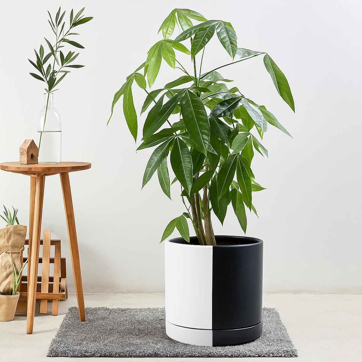 D'vine Dev 10 Inch Ceramic Planter Pot with Drainage Hole and Saucer, Indoor Cylinder Round Planter