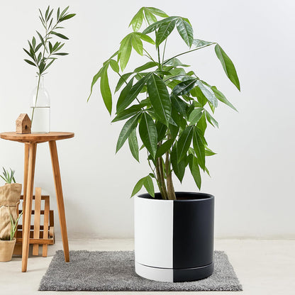 D'vine Dev 10 Inch Ceramic Planter Pot with Drainage Hole and Saucer, Indoor Cylinder Round Planter