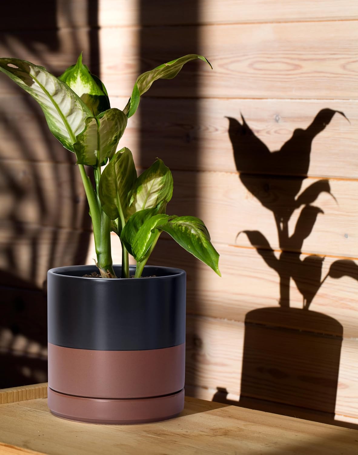 D'vine Dev 6.5 Inch Ceramic Planter Pot with Drainage Hole and Saucer, Indoor Cylinder Round