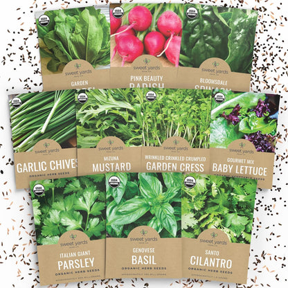 Organic Window Sill Seeds Variety Pack - 10 Individual Packs - 2025 Season - Basil, Cilantro, Pink