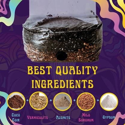 2 LB All-in-One Grow Bag: Up to 16oz of Mushrooms! Nutrient-Enhanced, Injection Port, Just Add Your