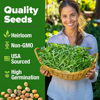 HOME GROWN Arugula Seed 2 Pack – 4350 𝗡𝗢𝗡-𝗚𝗠𝗢 𝗨𝗦𝗔 Vegetable Seeds – Ideal Seeds for