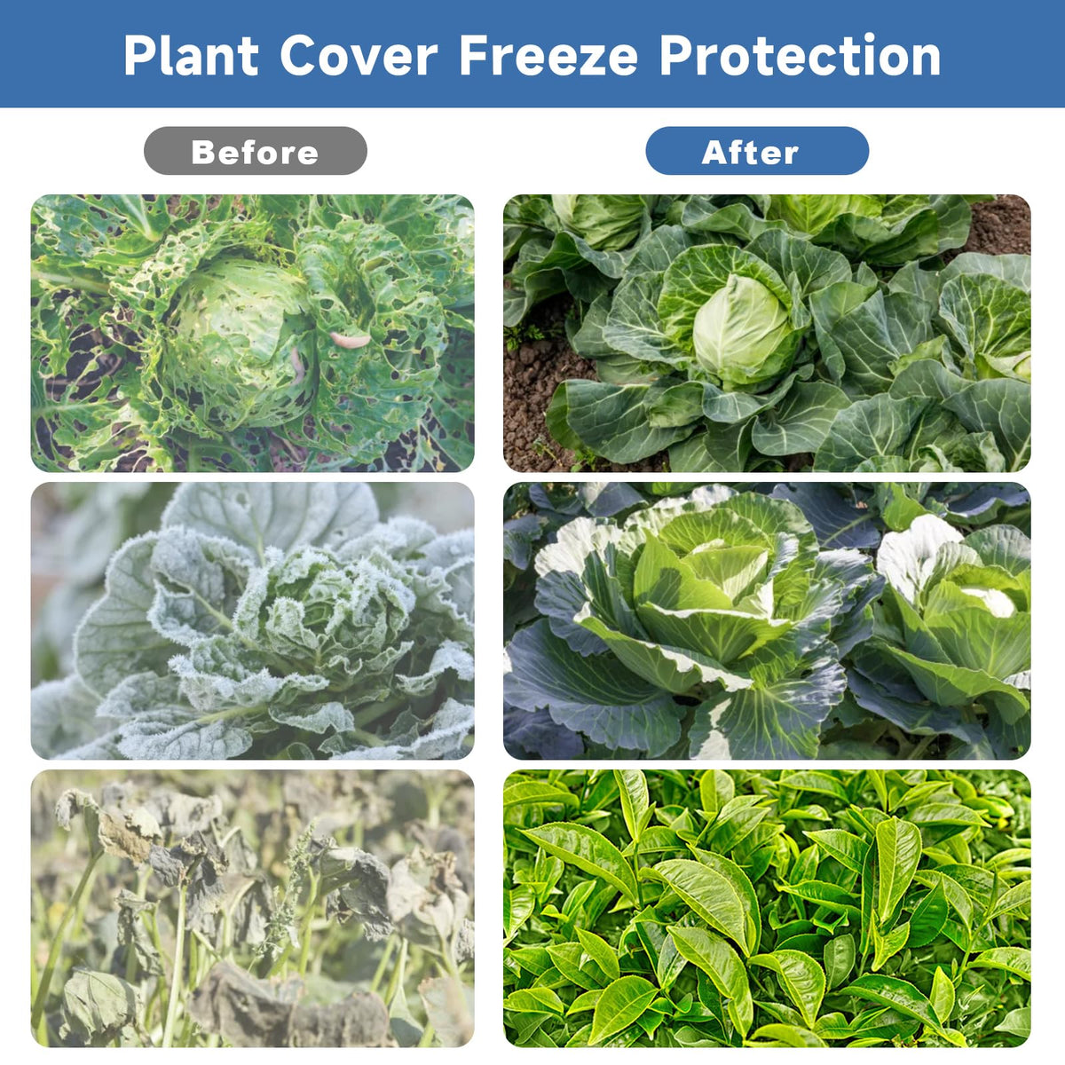Plant Covers Freeze Protection,10 ft x 40 ft 1.1oz/yd² Thicker Floating Row Blanket Cover Fabric