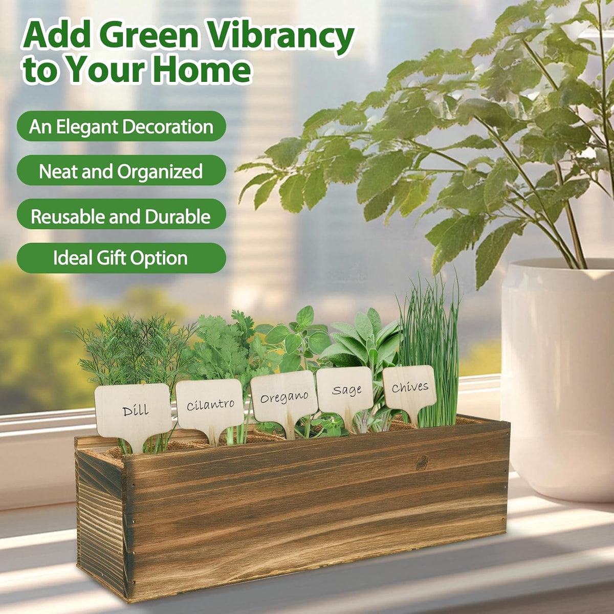 5 Herb Garden Planter Indoor with Wooden Box, Home Kitchen Seed Starter Kit Including Dill