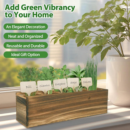 5 Herb Garden Planter Indoor with Wooden Box, Home Kitchen Seed Starter Kit Including Dill