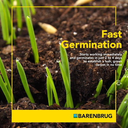 Barenbrug Winter Wonderlawn Grass Seed for Southern Lawns, Fast-Acting Durable Grass Seed Mix for