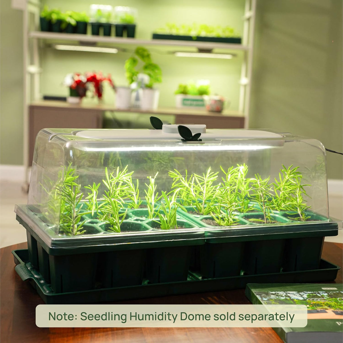 Vego garden Giga Seedling Trays - 16 Pack, 9-Cell UV-Resistant Reusable Starter Trays for