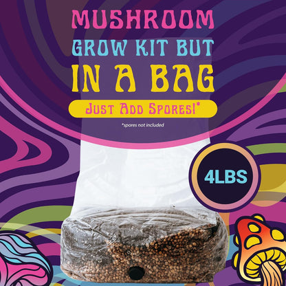 4 LB All-in-One Grow Bag: Up to 32oz of Mushrooms! Nutrient-Enhanced, Injection Port, Just Add Your