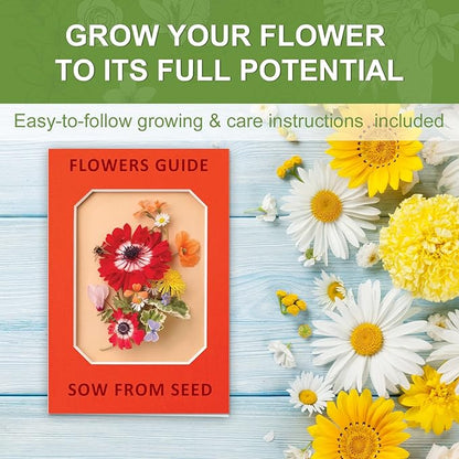 Indoor Daisy Garden Starter Kit with Gardening Tools - Jute Bags, Markers, Soil Disks and Shears
