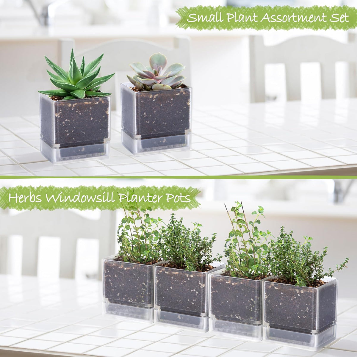 4 Inch Herb Planter Pot, Plastic Planter with Drainage Holes and Saucer, Modern Decorative