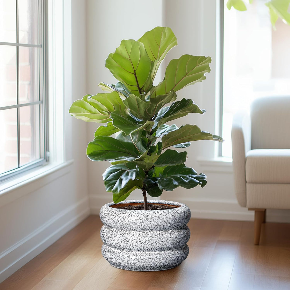 SQOWL Ceramic Plant Pots - 13.5 Inch Ceramic Planter with Drainage Hole, Large Round Planter for