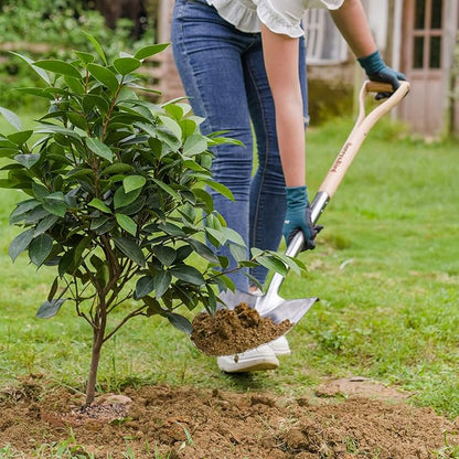 Berry&Bird Round Point Gardening Shovel with Wood D-Handle, 40.98" Stainless Steel Beach & Snow
