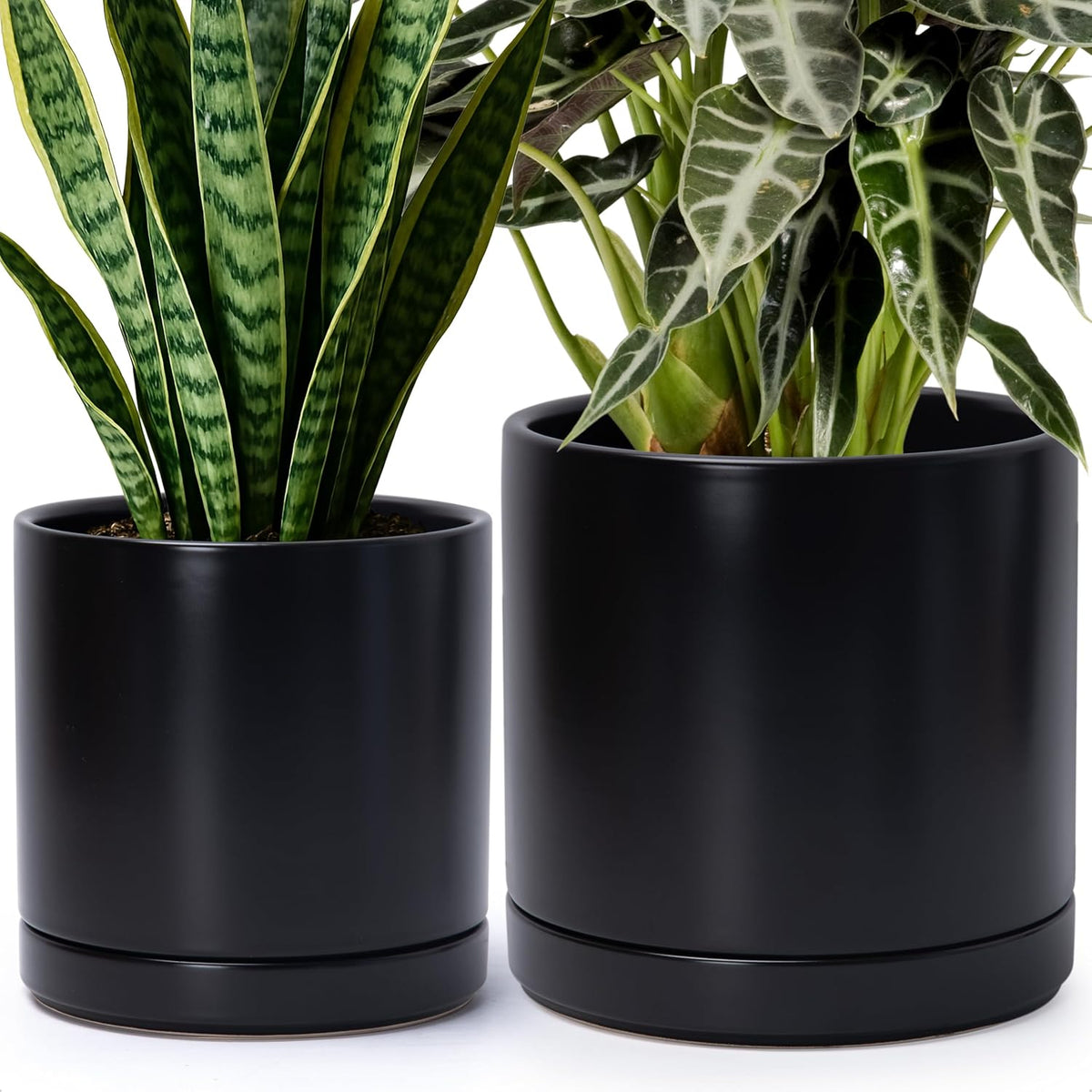 D'vine Dev 8.2 Inch & 10 Inch Ceramic Planter Pot for Plants with Drainage Hole and Saucer, Large