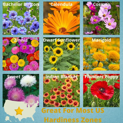 Camas- Pollinator Wildflower Seed Packets - (20) Party Favors to Attract Bees, Butterflies, and