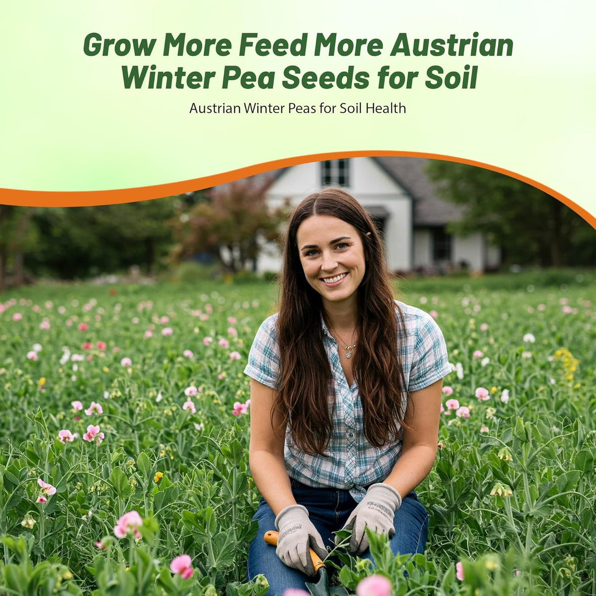 Outsidepride Austrian Winter Peas Seeds for Planting – 50 lbs Bag (Cool-Season Cover Crop