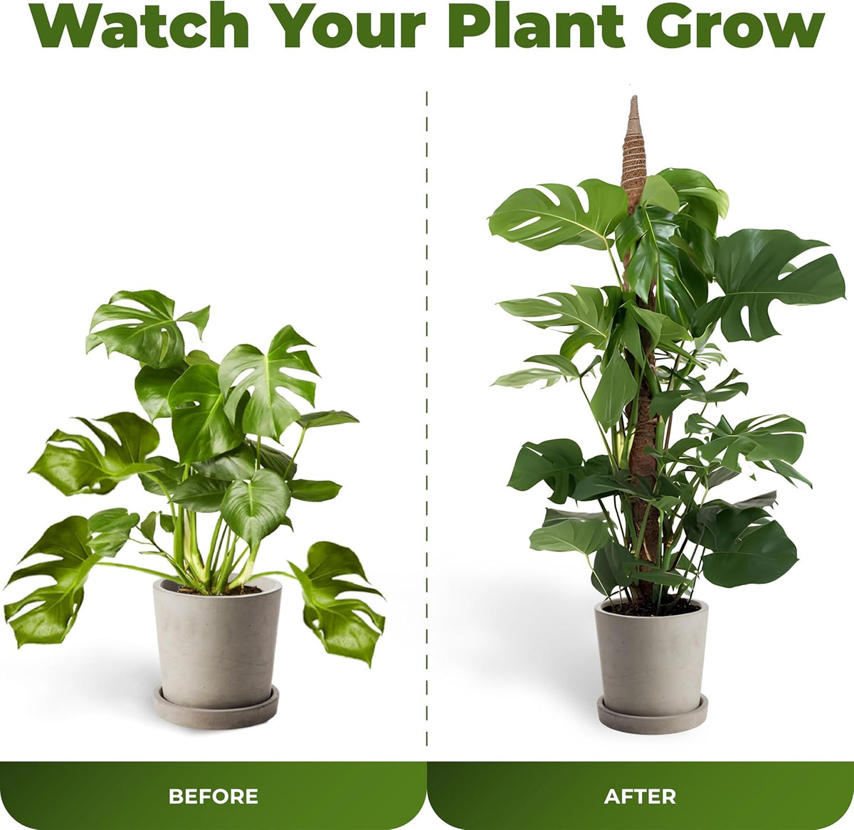 2 Pack 28 Inch Bendable Moss Pole Monstera Plant Support Stakes for Indoor Plants - Tall Moss Stick
