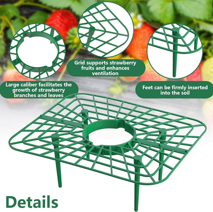Iceyyyy 12 Packs Square Strawberry Supports-Strawberry Growing Racks- Plant Support Strawberry