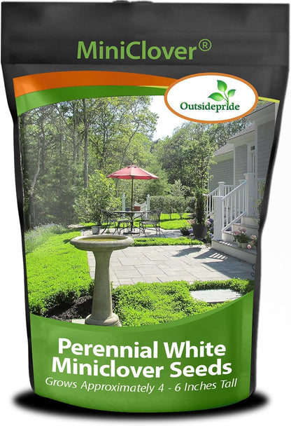 Outsidepride Perennial White MiniClover Seed - 5 lb. Dwarf, Small-Leaved, Drought & Wear-Tolerant