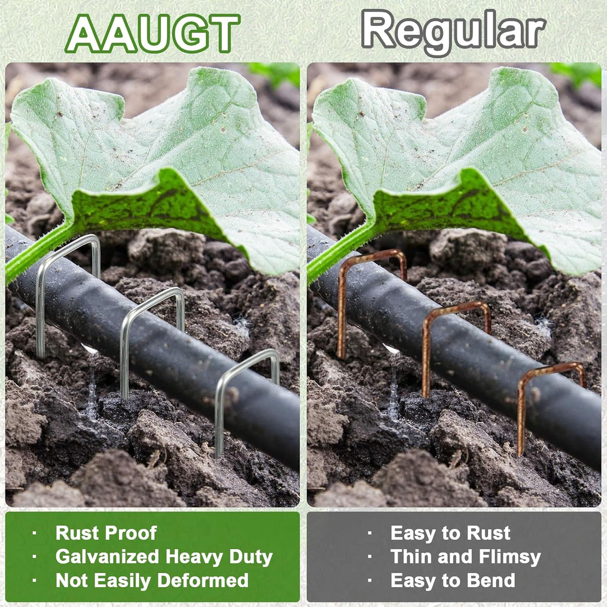 AAGUT 100 Pack 6 Inch Landscape Staples 11 Gauge Garden Staples, Galvanized Heavy Duty U-Shaped Sod