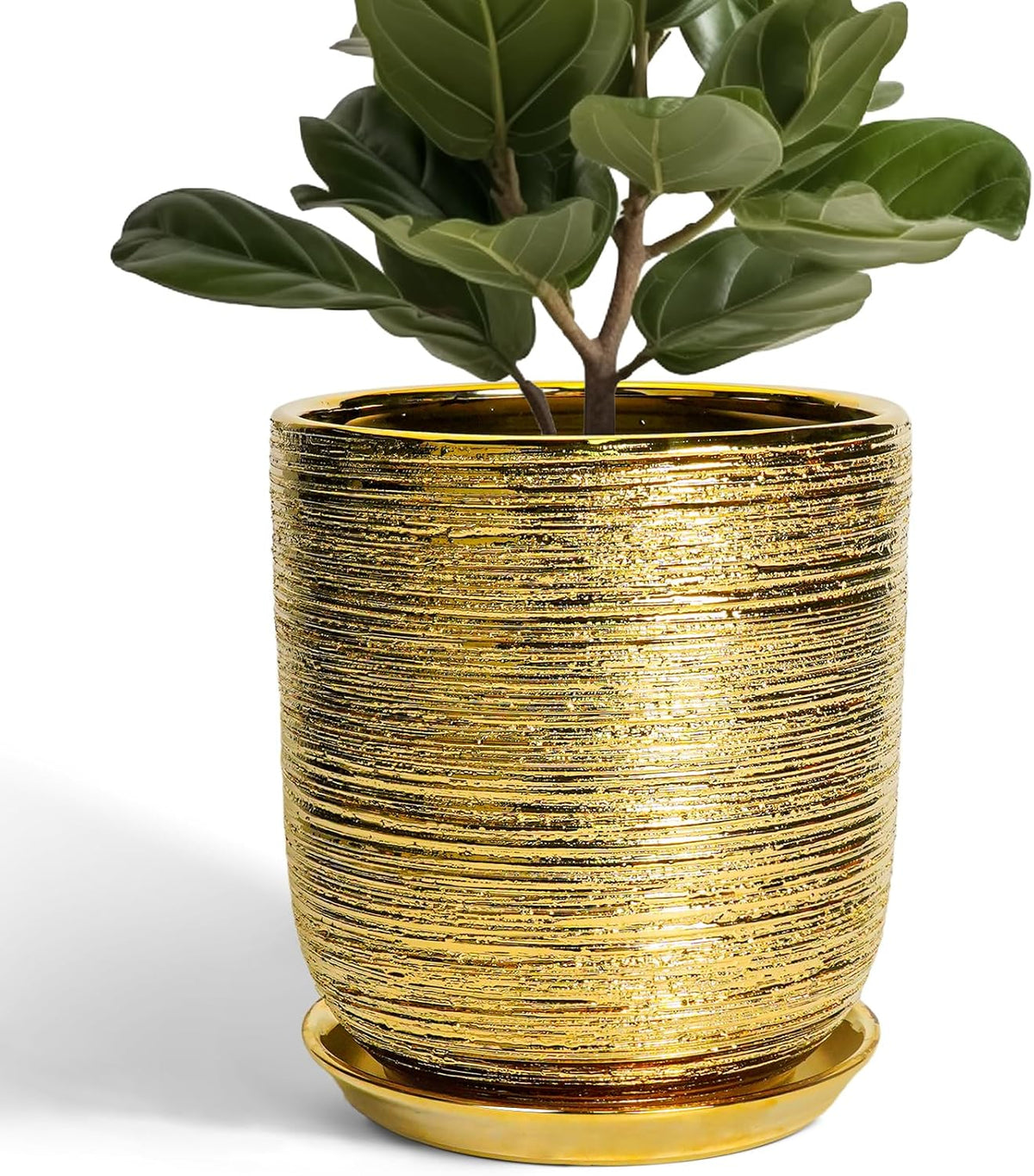 Ceramic Flower Pot for Indoor Plants - 10 Inch Plant Pot with Drainage Hole and Saucer, Decorative