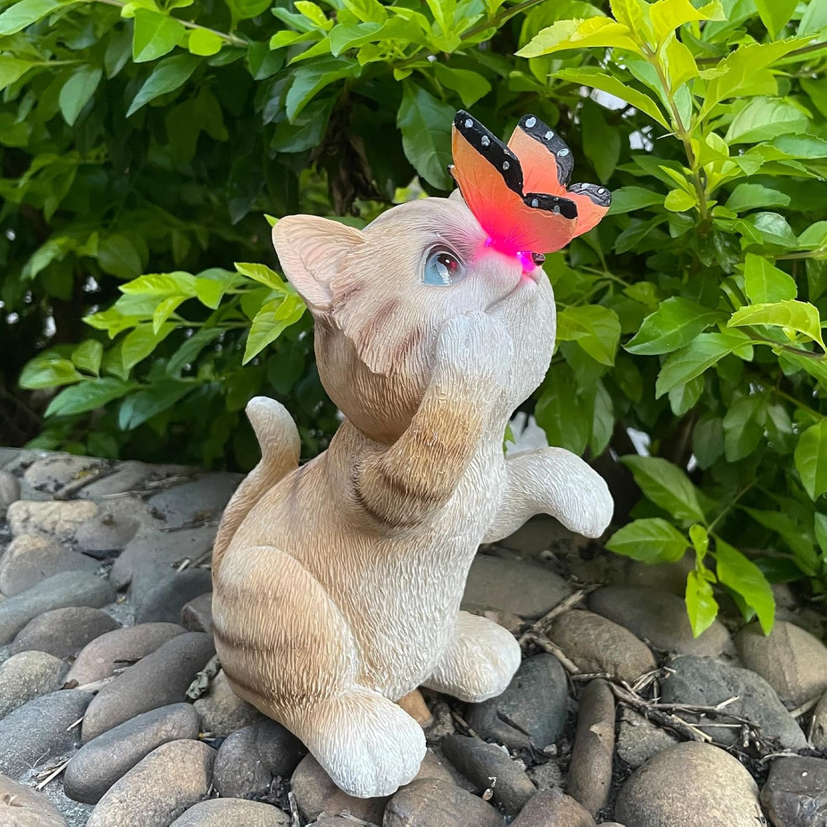 Garden Decor Solar Cat Figurines Cat Lover Gifts with LED Butterfly Lights for Indoor Outdoor Decor