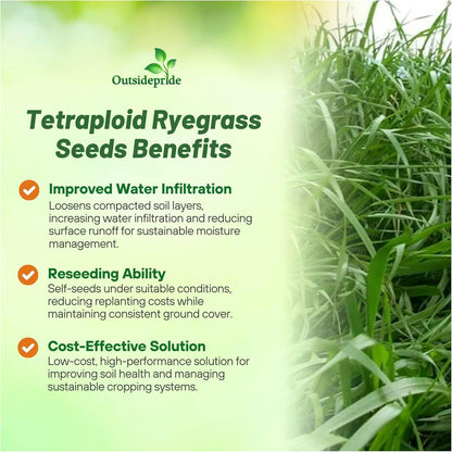 Outsidepride Ryegrass Seeds - 25 lb. Annual, Hardy & Fast-Growing, Cover Crop Seeds for Planting