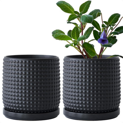 D'vine Dev Set of 2 Ceramic Plants Pots, 6 Inch Beaded Stoneware Flower Pot for Plants with