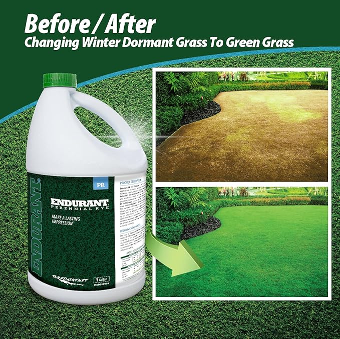 Endurant Turf Colorants - Perennial Rye Spray Green Grass Paint for Lawns - Revives Dry, Patchy