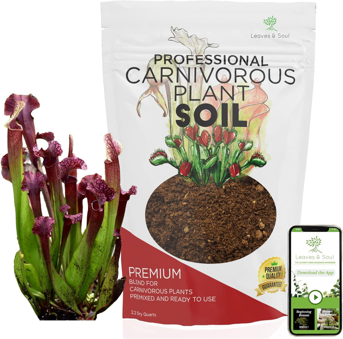 Professional Carnivorous Plant Soil | Large 2.2 Quarts Ready to Use for Venus Flytraps, Sundews