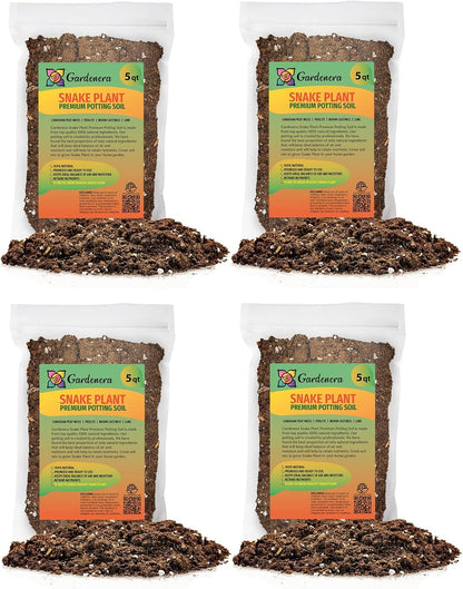 GARDENERA Premium Snake Plant Potting Soil Mix - 10 Quart - Green Sansevieria Trifascatia Zeylanica