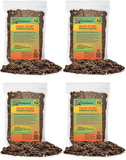 GARDENERA Premium Snake Plant Potting Soil Mix - 10 Quart - Green Sansevieria Trifascatia Zeylanica