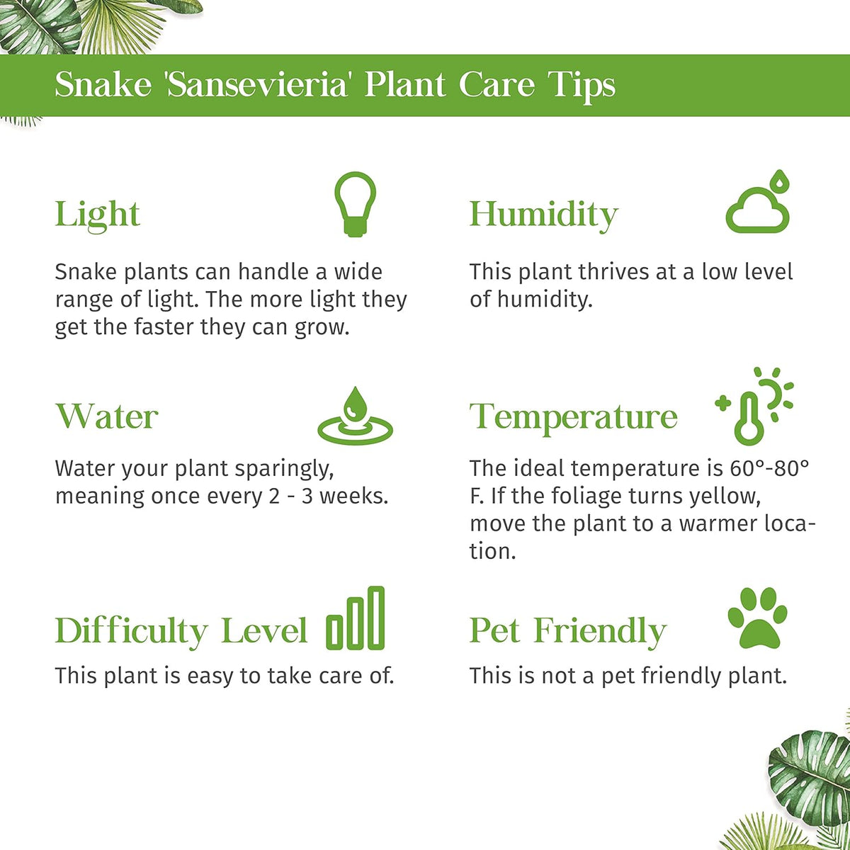 Snake Plant Laurentii Live Plant for Indoor | Different Houseplants in 3'' Pot | Real House Plant