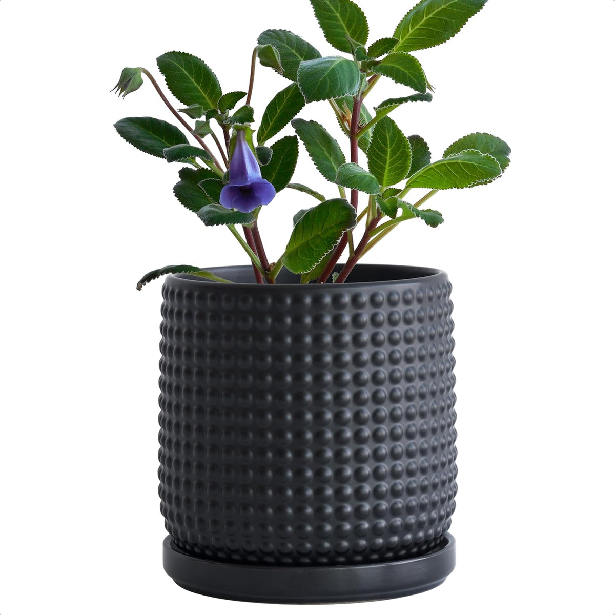 D'vine Dev 6 Inch Ceramic Beaded Stoneware Planter Pot - Flower Pot with Drainage Holes and Saucers