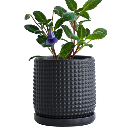 D'vine Dev 6 Inch Ceramic Beaded Stoneware Planter Pot - Flower Pot with Drainage Holes and Saucers