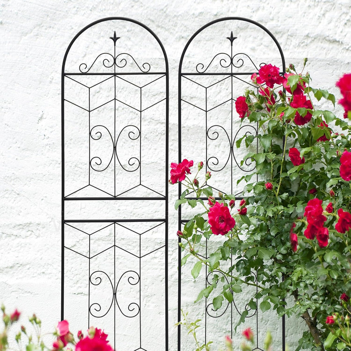 Metal Garden Trellis Rustproof Trellis for Climbing Plants Outdoor Flower Support (Black-4 Pack