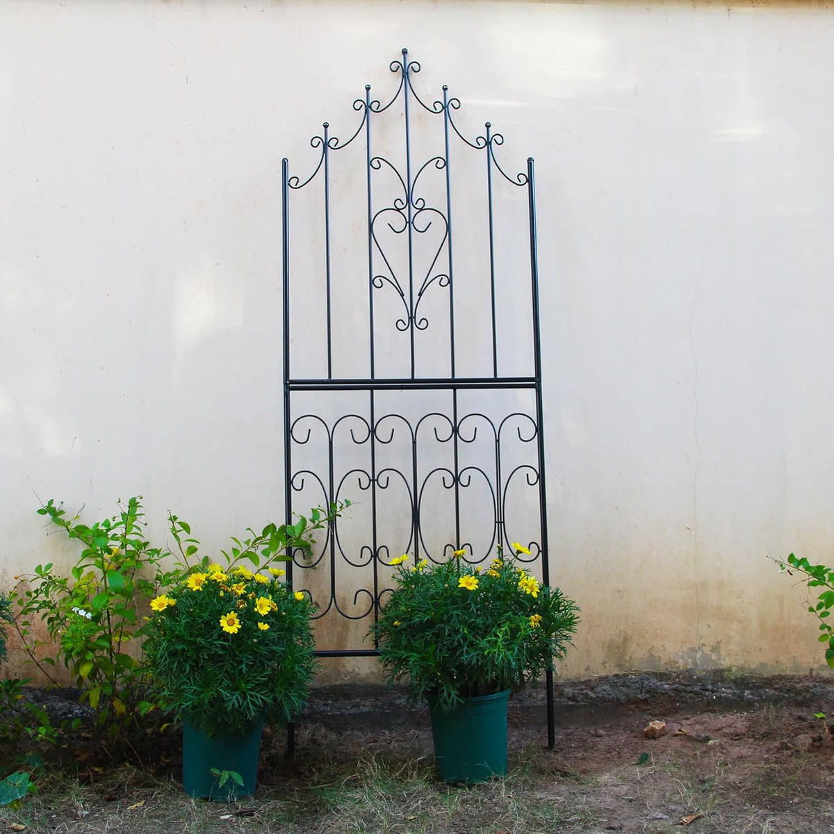 Trellis for Climbing Plants 70.8" H x 25.6" W Metal Premium Quality Material Rust-Resistant