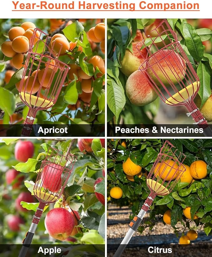 AgiiMan 3 to 12 FT Fruit Picker Pole - Reach to 18 FT Fruit Picker with Telescopic Extension Pole