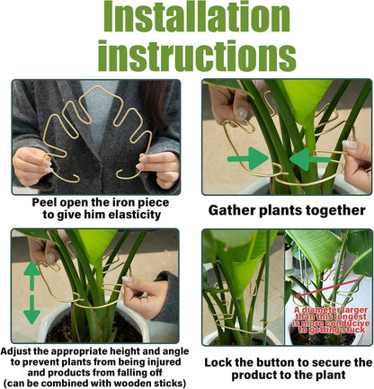 Monstera Stem Support - 5-Piece Durable Plant Support System for Monstera & Turtle Shell Plants
