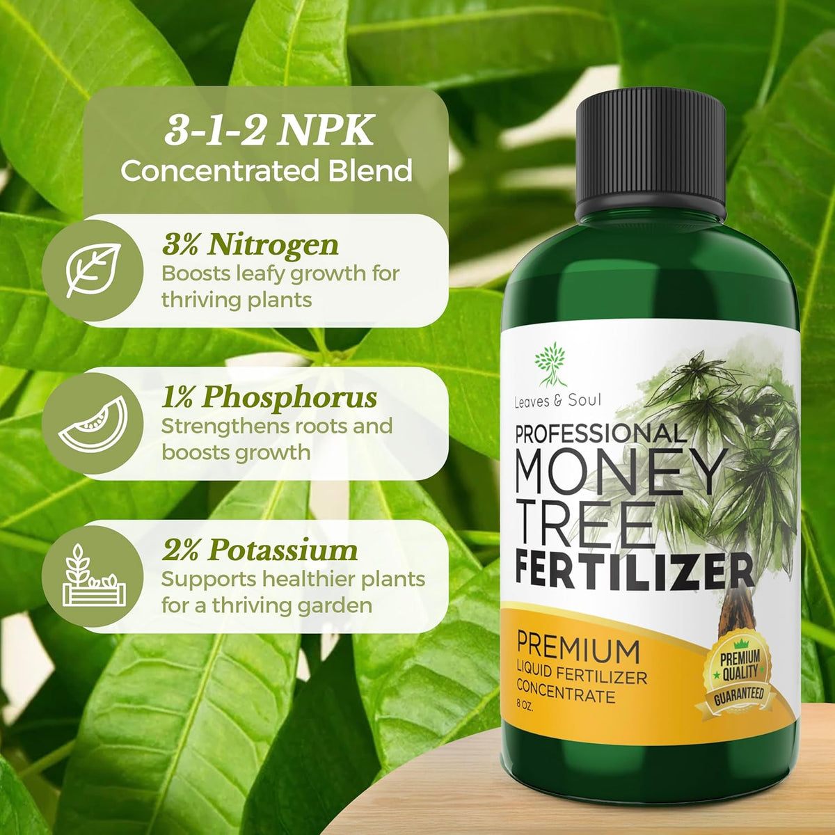 Professional Liquid Money Tree Fertilizer | 3-1-2 Concentrate for Plants and Flowers |