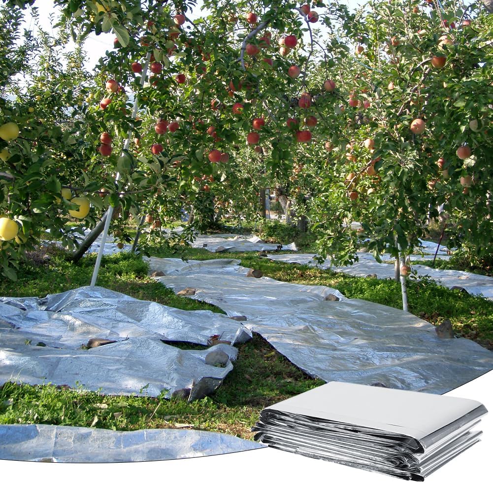 High Silver Reflective Mylar Film, Plant Reflective Film Mylar Sheet Greenhouse Covering Foil
