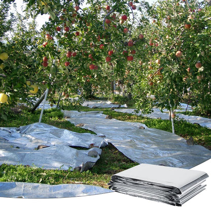 High Silver Reflective Mylar Film, Plant Reflective Film Mylar Sheet Greenhouse Covering Foil