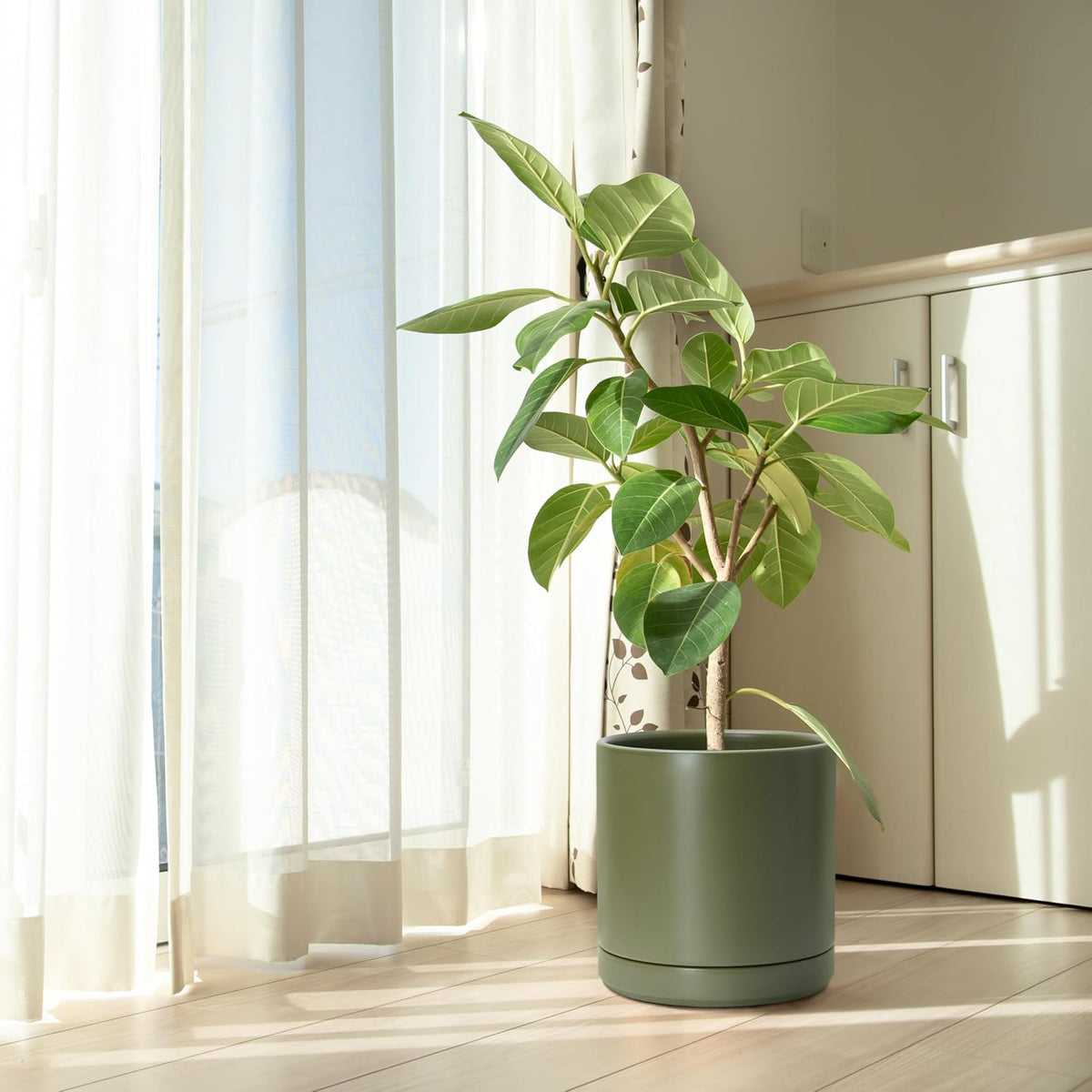 D'vine Dev 10 Inch Ceramic Planter Pot with Drainage Hole and Saucer, Indoor Cylinder Round Planter
