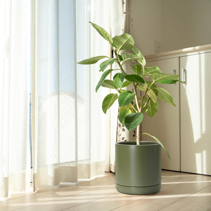 D'vine Dev 10 Inch Ceramic Planter Pot with Drainage Hole and Saucer, Indoor Cylinder Round Planter