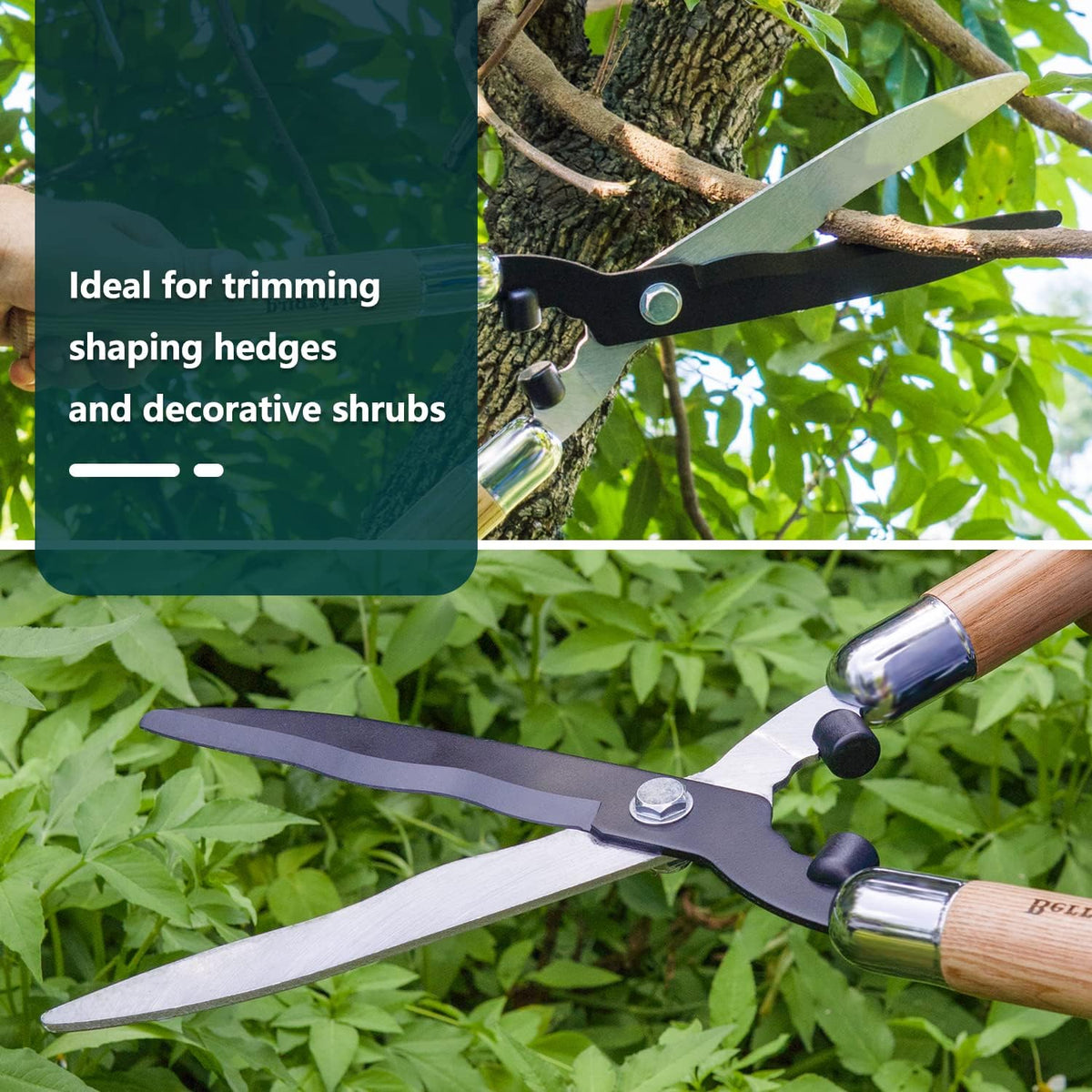 Berry&Bird Garden Hedge Shears,19.88''Heavy Duty Pruning Shear for Trimming Borders and Bushes