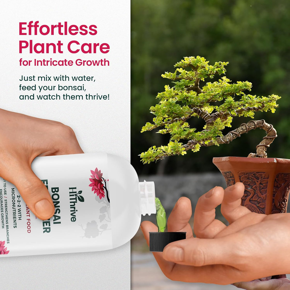 32oz Bonsai Tree Live Liquid Plant Food - Makes 64 Gallons of Bonsai Fertilizer Liquid, Premium