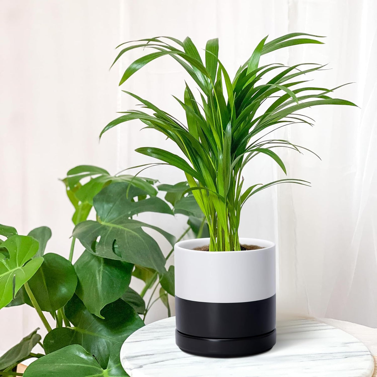 D'vine Dev 6.5 Inch Ceramic Planter Pot with Drainage Hole and Saucer, Indoor Cylinder Round