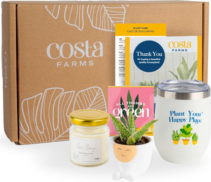 Costa Farms Live Plant Gift Box, Succulent Live Indoor Houseplant, Perfect Birthday and Holiday